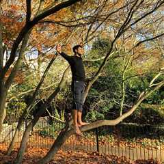 Novak Djokovic Reveals 15-Year Love Affair with Tree That Inspires His Australian Open Success