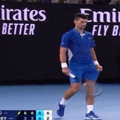 Novak Djokovic shuts down Australian Open heckler with perfect response