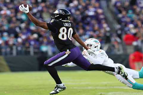 Ravens TE Makes Wild One-Handed TD Grab Against Dolphins