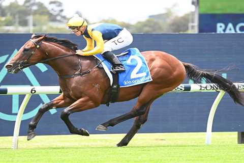 2024 Magic Millions 2YO Classic Field & Betting: Battle Royale on the Gold Coast