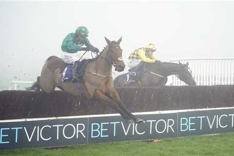 Naas Racecourse Offers Free Entry After Sunday Card Abandoned Due to Fog