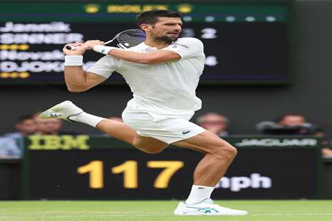 Novak Djokovic's Net Worth in 2024: Prize Money, Career Winnings, and Sponsorship Deals