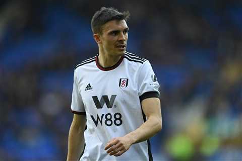 Fulham midfielder João Palhinha is dreaming of a move to Barcelona