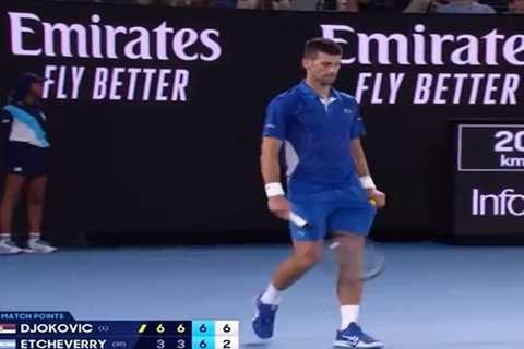 Novak Djokovic shuts down Australian Open heckler with perfect response