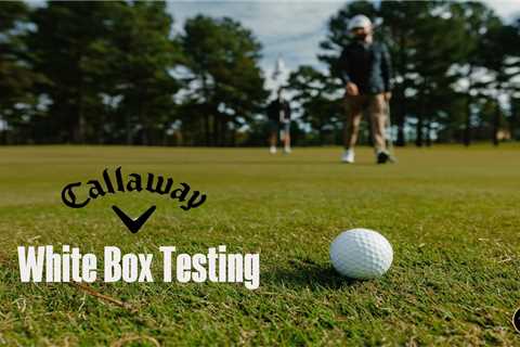 Testers Wanted: Callaway White Box Testing