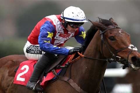 Newbury and Cheltenham: Big Plans for Trials Day