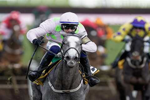 Cheltenham Trials Day: 5 Horses You Can't Miss