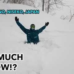 MASSIVE SNOW STORM SWALLOWS Hanazono Niseko, Japan 2024!!
