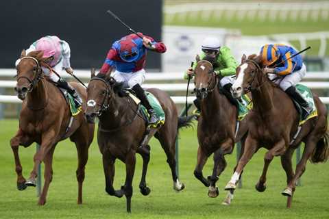 ‘The big guns are here’ – Irish raiders form a Lucky 15 at Newmarket on Friday ☘️