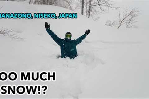 MASSIVE SNOW STORM SWALLOWS Hanazono Niseko, Japan 2024!!