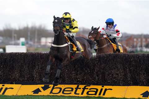 Nicky Henderson Celebrates Double Win at Newbury