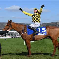 Willie Mullins Runner Represents Value at Cheltenham in the Arkle - A Must-See Opportunity!