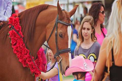 Celebrating the Majestic Purebred Arabian Horse in Scottsdale, Arizona