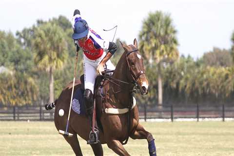 The Economic Impact of Polo in Aiken, South Carolina