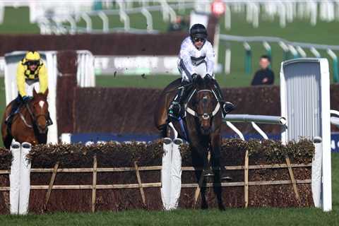 Cheltenham Festival 2024: Who Triumphed in the Champion Hurdle Challenge Trophy?