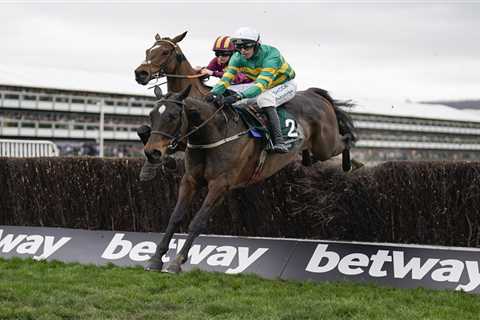 Cheltenham Festival 2021 Day Two: Style Wednesday Recap and Results