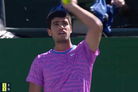 Carlos Alcaraz's Tennis Match Halted by Bee Invasion as Wimbledon Champ Seeks Shelter