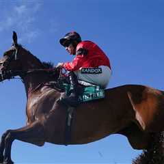 Nicholls opts for Charlie Hall Chase with Bravemansgame