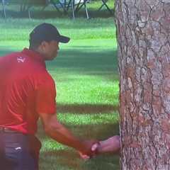 Tiger Woods gives fans ‘all time favourite Masters moment’ by ‘shaking hands with a tree’ on..