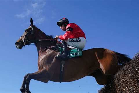 Nicholls opts for Charlie Hall Chase with Bravemansgame