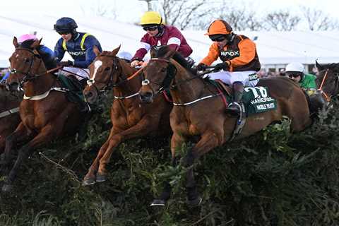 Controversy at the Grand National: Punter Rising Threatens Horse Racing Tradition