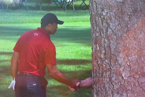 Tiger Woods gives fans ‘all time favourite Masters moment’ by ‘shaking hands with a tree’ on..