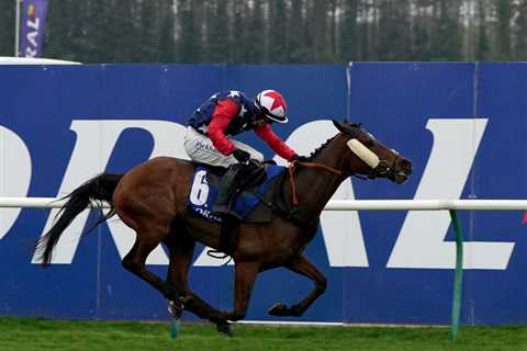 Scottish Grand National 2021: Meet the Runners and Riders