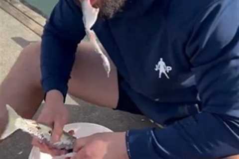 Fans Feel Queasy as Joseph Parker Eats Raw Fish in Video