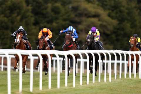 Monday racing tips: Five horses to follow on Sky Sports Racing