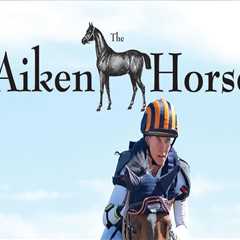 Top 5 Annual Equestrian Events in Aiken You Don’t Want to Miss