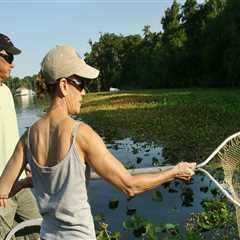 Exploring Volunteer Opportunities for Baseball Activities in Harrison County, MS