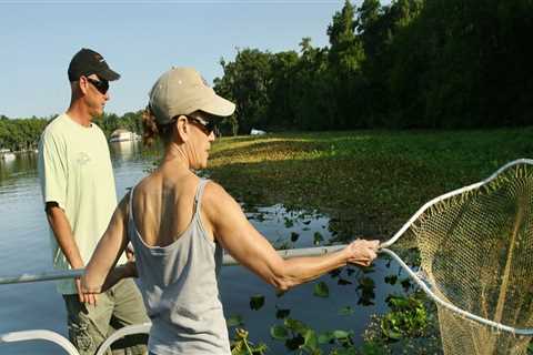 Exploring Volunteer Opportunities for Baseball Activities in Harrison County, MS