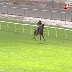 Jockey's Feat Leaves Crowd in Awe as Horse Takes a Wild Ride