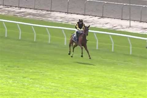 Jockey's Feat Leaves Crowd in Awe as Horse Takes a Wild Ride