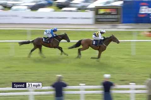 Mullins' Royal Ambition: The £100K Horse That Could Shock Ascot