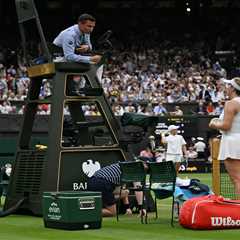 That Wimbledon Umpire? Yeah, He's Gone Missing After Yesterday's Mess