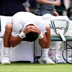 Djokovic's Breathing Drama at Wimbledon Had Me Genuinely Worried