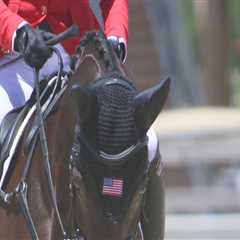 The Magic of Equine Events in Southwest Washington