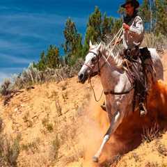 The Ultimate Guide to Western Horse Shows in Southwestern Missouri