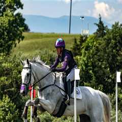 The Expert's Guide to Attending Horse Shows in Southwestern Missouri
