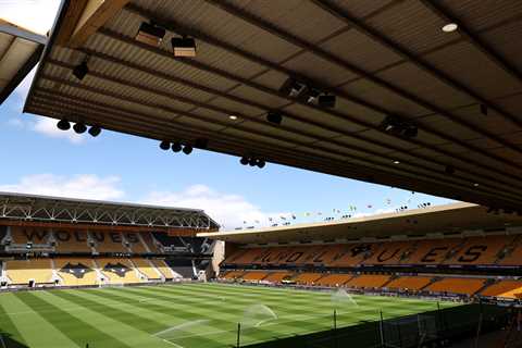 Wolves Just Dropped Their Stadium Plans (And Honestly, I'm Not Sure What to Think)