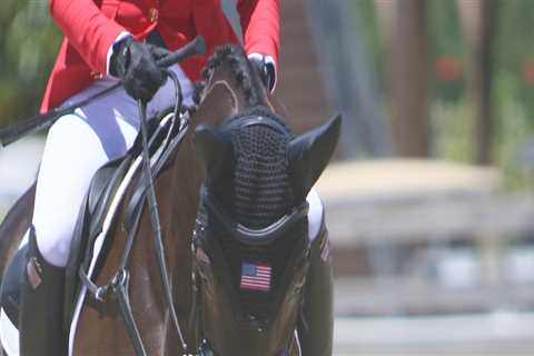 The Magic of Equine Events in Southwest Washington