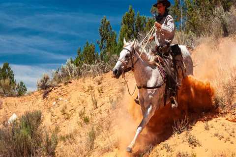 The Ultimate Guide to Western Horse Shows in Southwestern Missouri