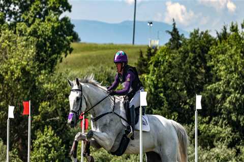 The Expert's Guide to Attending Horse Shows in Southwestern Missouri