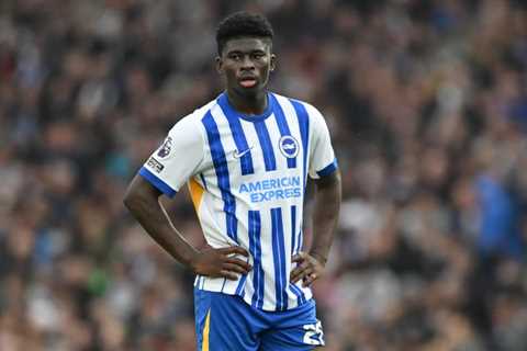 Man Utd to End Baleba Interest as Brighton Stand Firm on Valuation
