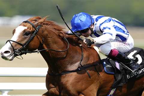 Forty Grand Down the Drain? Brighton's Players Bet Big on Their Million-Dollar Dream Horse