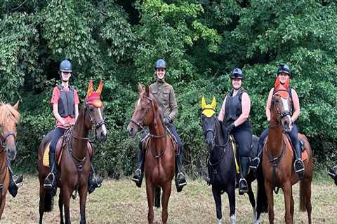 The Ultimate Guide to Stabling Horses at Horse Shows in Northeast Ohio