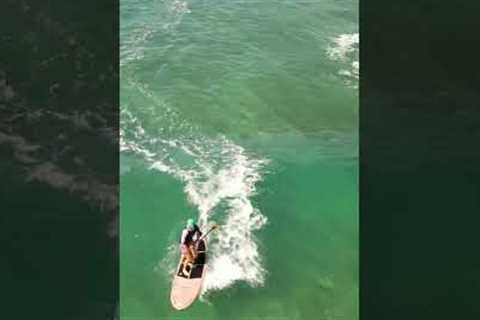 JP SUP Surfing | Waikiki Beach  #paradise #hawaii #surfing
