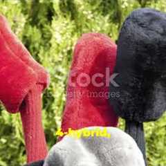 Best Golf Club Set for Beginners: Ultimate Review & Comparison!