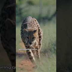 The first episode of our new series #FerrariUnpacked is out soon. Stay tuned. #Ferrari